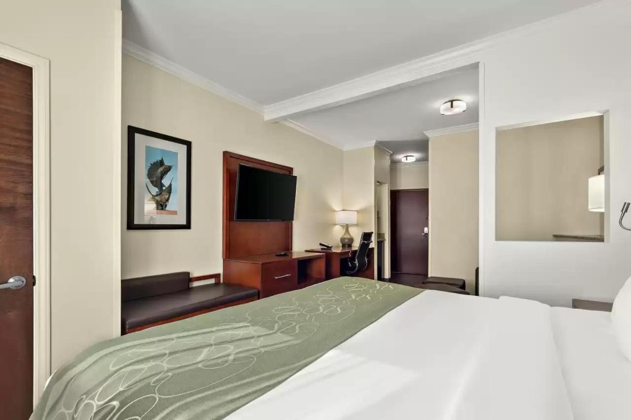 Comfort Suites Central Corpus Christi Exteriör bild
