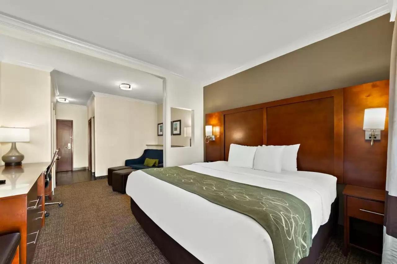 Comfort Suites Central Corpus Christi Exteriör bild
