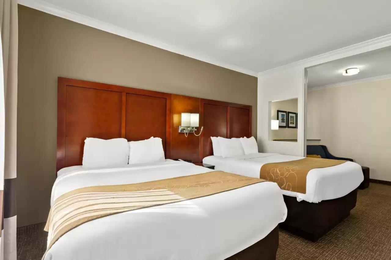 Comfort Suites Central Corpus Christi Exteriör bild